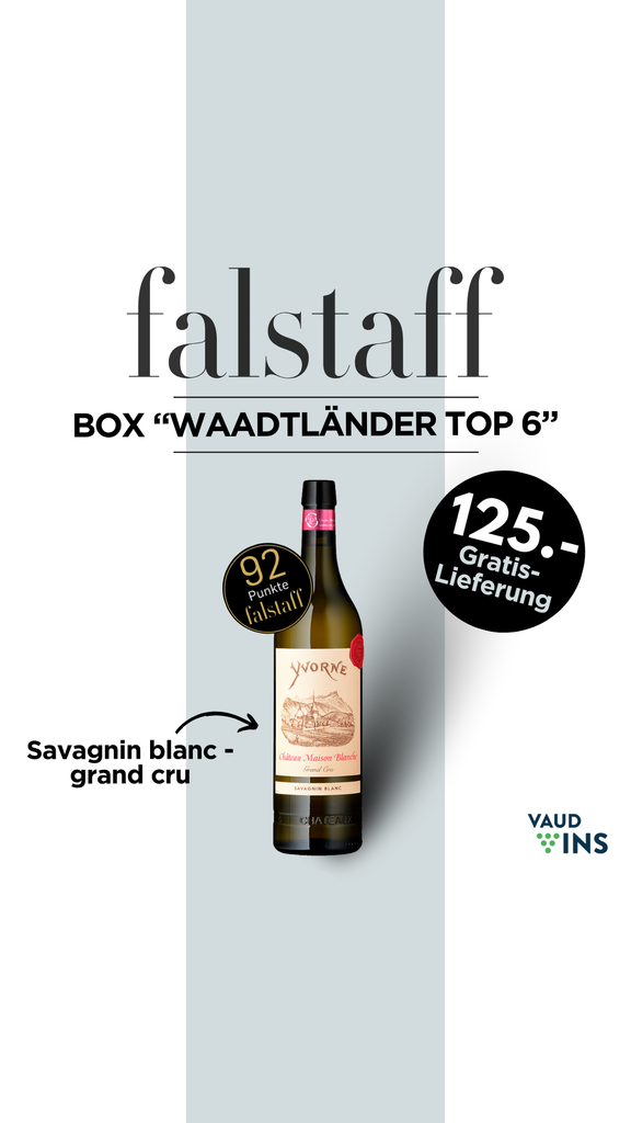 Falstaff Waadtländer TOP 6