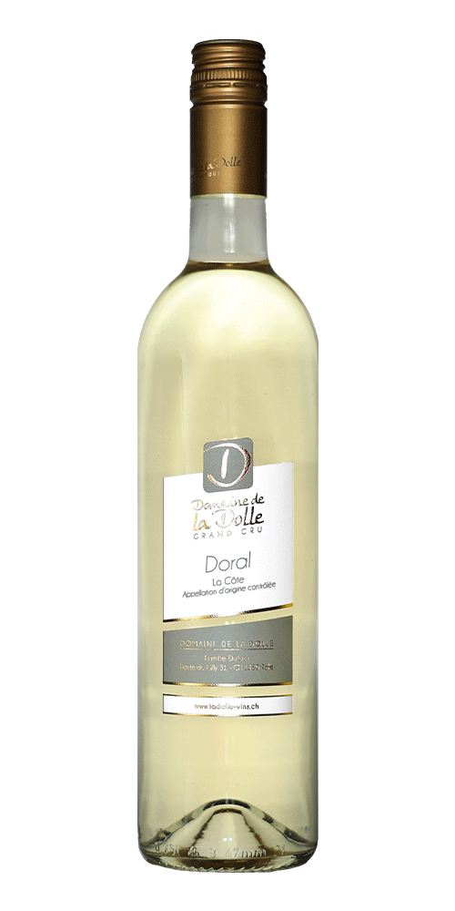 Dolle - Doral &quot;mi-doux&quot;