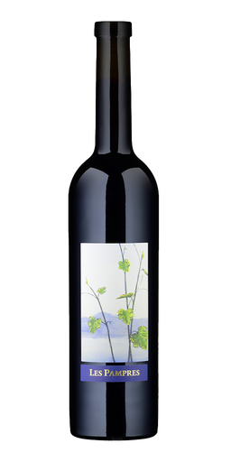 Pascal Dance - Les Pampres Gamaret