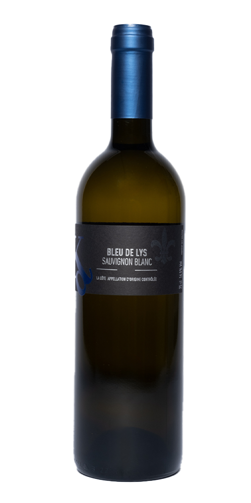 Terre-Neuve - Bleu de Lys - Sauvignon blanc