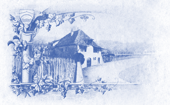 Domaine de la Viborne