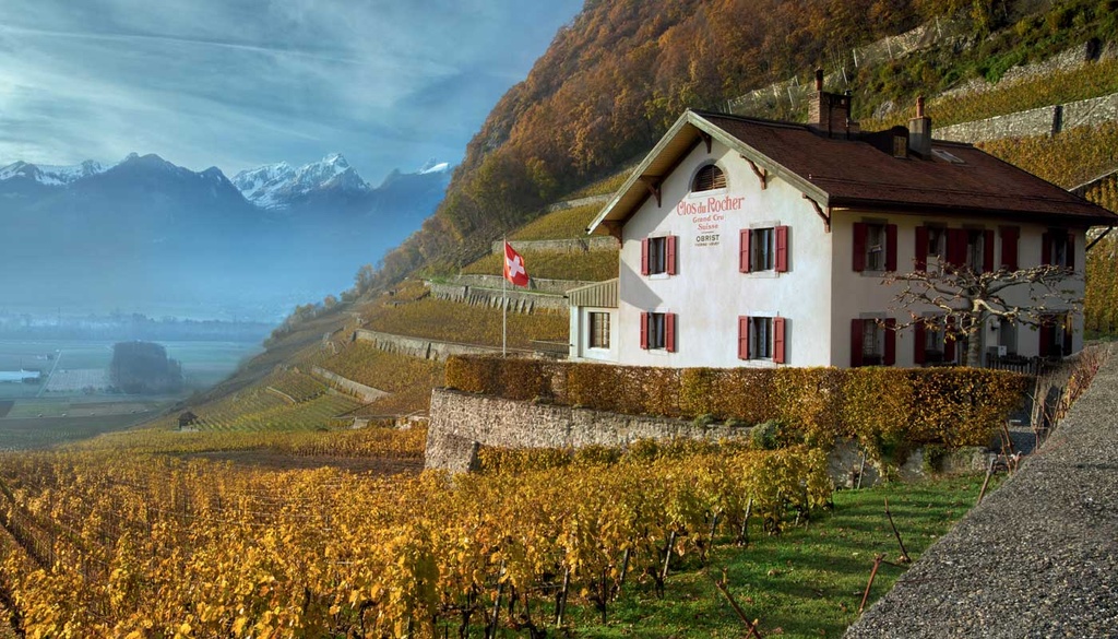 Clos du Rocher- Maison Obrist