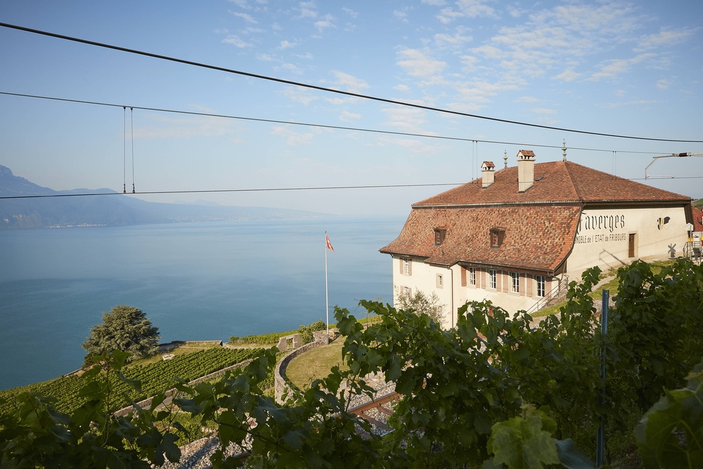 Domaine des Faverges - Vignobles de l'Etat de Fribourg