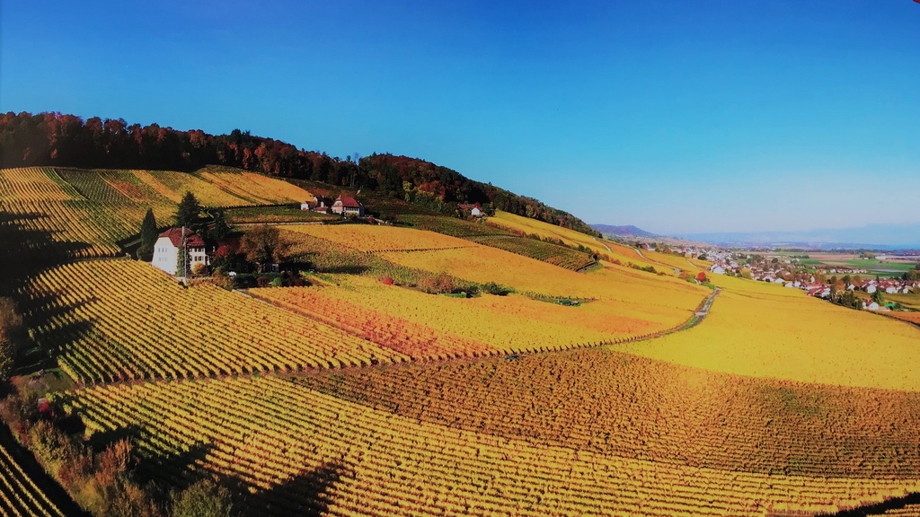 Domaine de Sarraux-Dessous