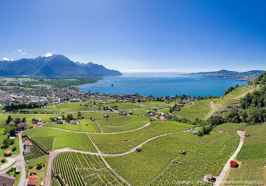 DGAV  Domaine des Hospices Cantonaux