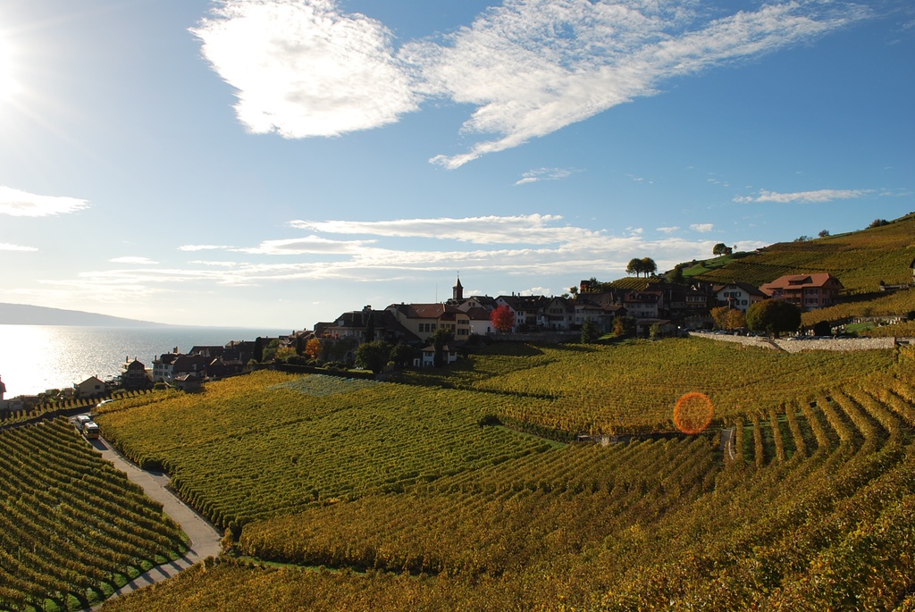 Domaine Christophe Chappuis