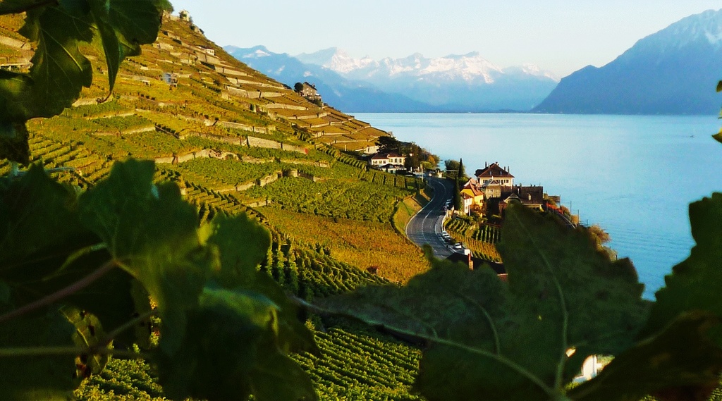 Domaine Antoine Bovard