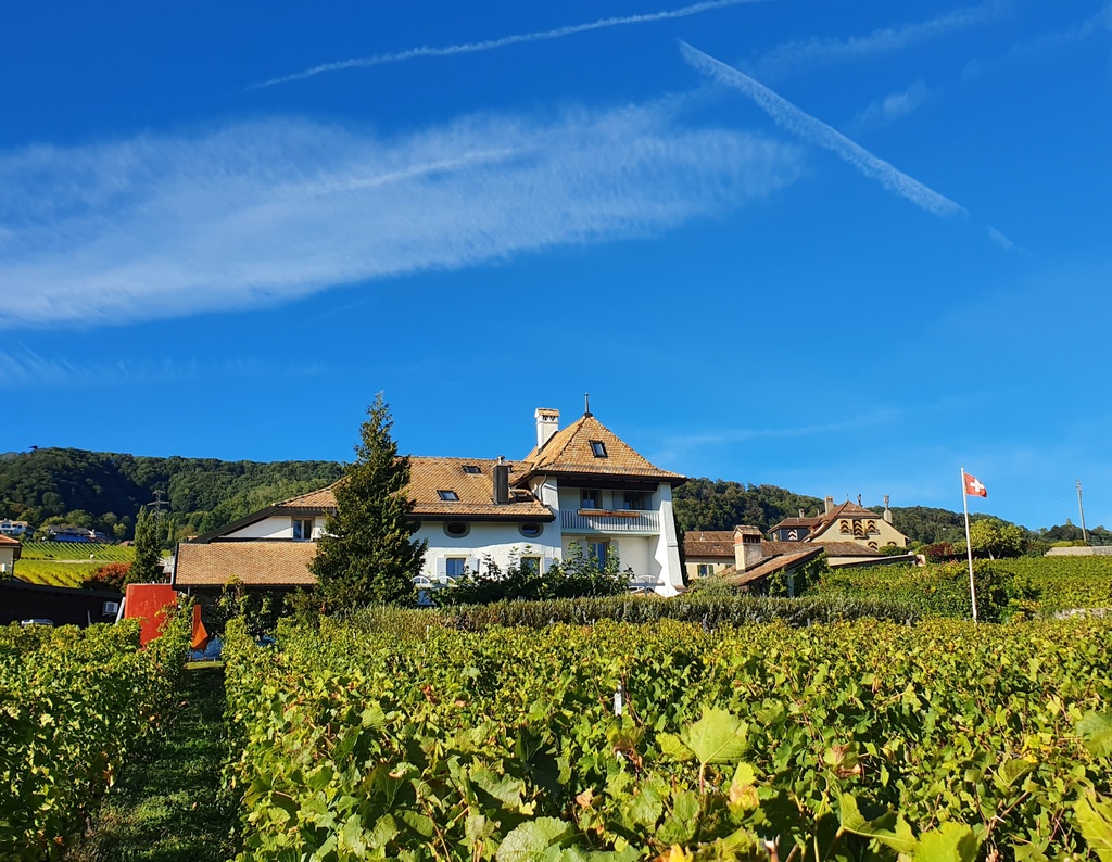 Domaine de Maison Blanche