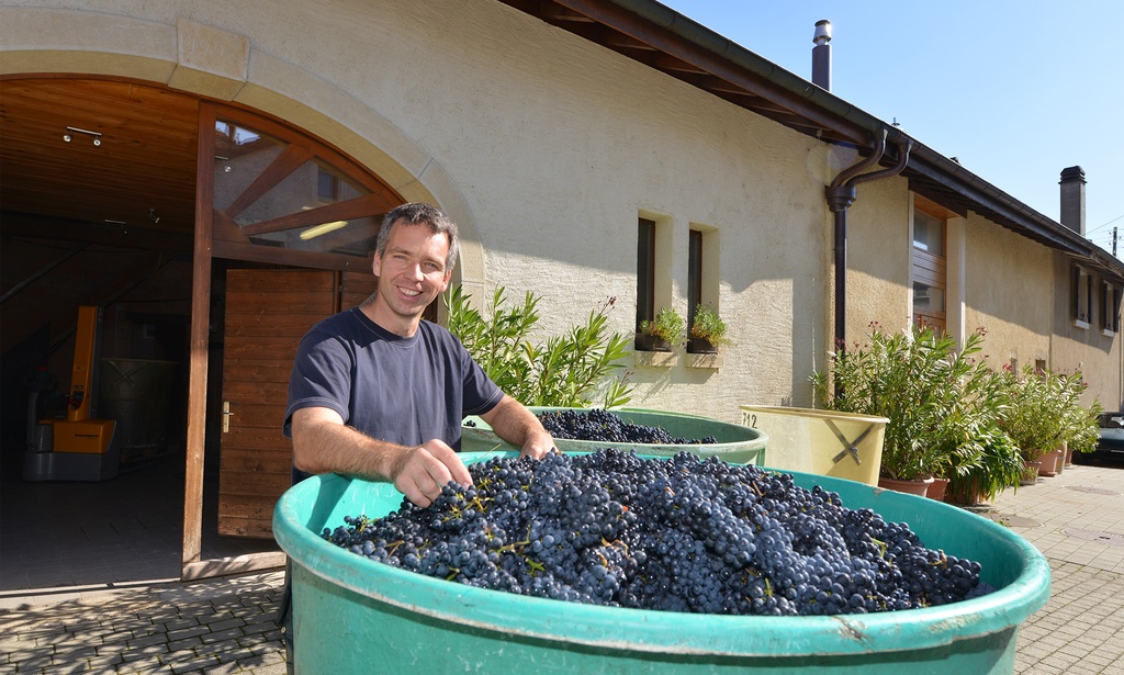 Cave Bernard Gauthey