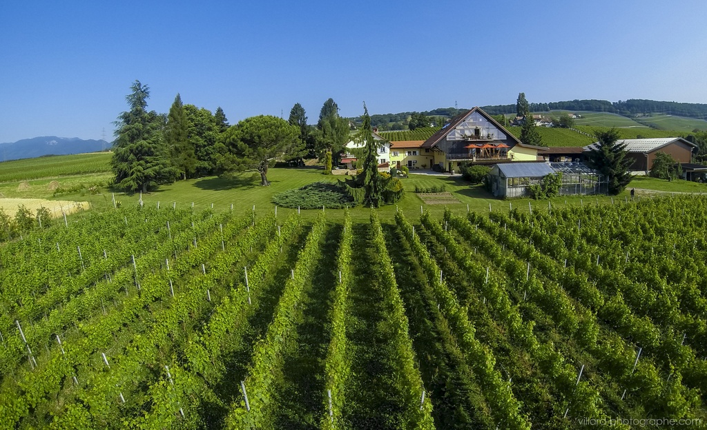 Domaine La Capitaine