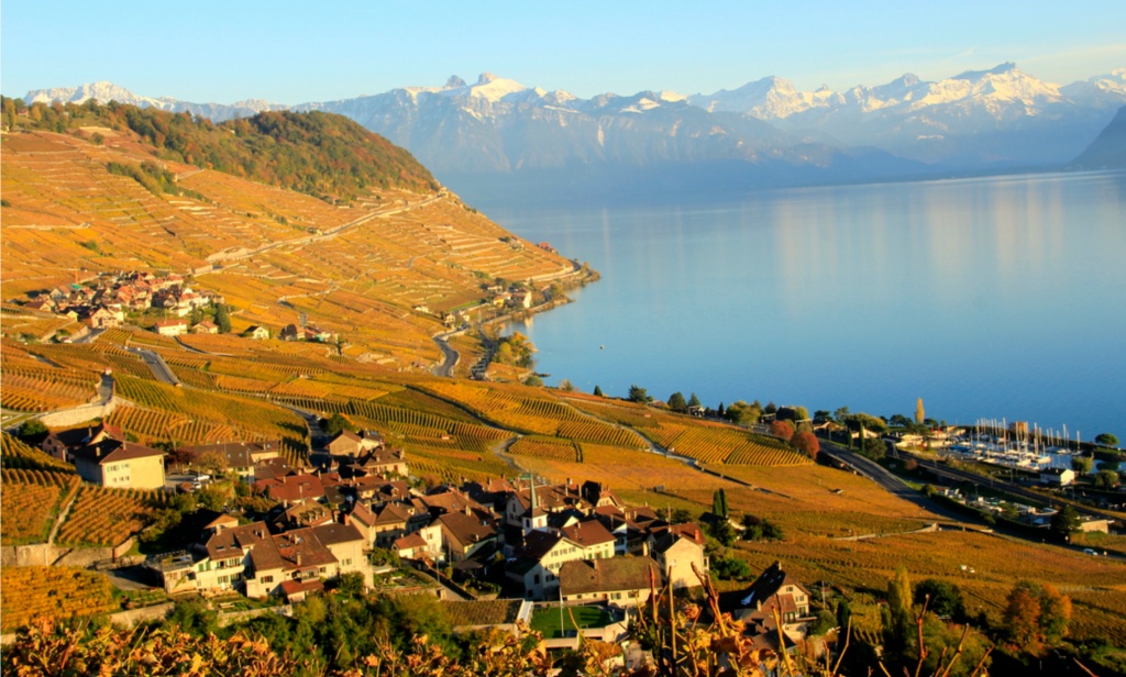 Office des Vins Vaudois