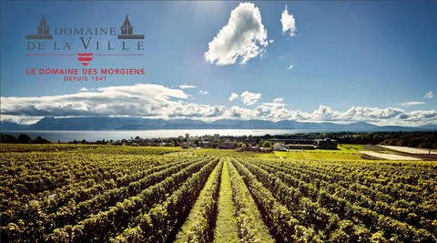 Domaine de la Ville de Morges (Bolle)