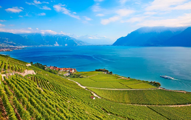 Domaine de la Grille